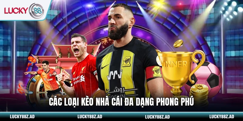 Các loại kèo nhà cái đa dạng phong phú