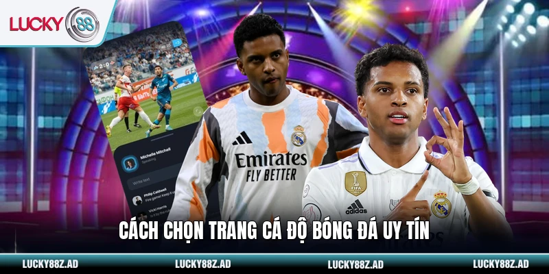 Cách chọn trang cá độ bóng đá uy tín